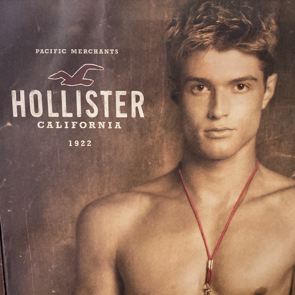 2012 Hollister Male Model Swimsuit Shopping Bags Set of 2 - Picture 2 of 12